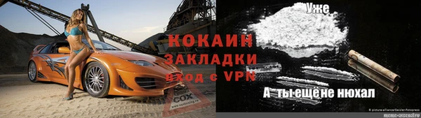ПСИЛОЦИБИНОВЫЕ ГРИБЫ Переславль-Залесский