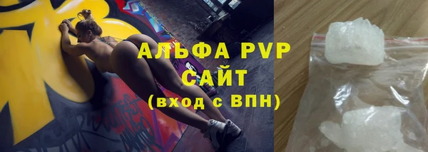 ПСИЛОЦИБИНОВЫЕ ГРИБЫ Переславль-Залесский