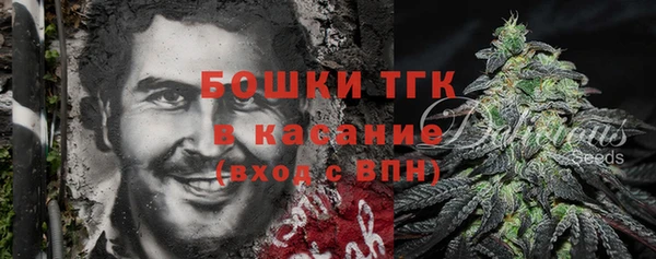 ПСИЛОЦИБИНОВЫЕ ГРИБЫ Переславль-Залесский