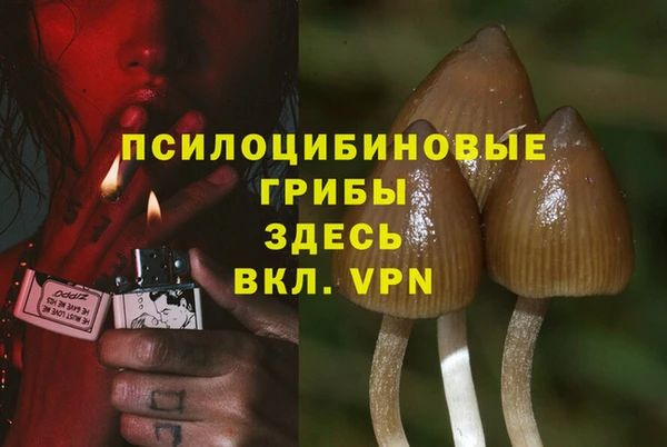 МДПВ Чегем