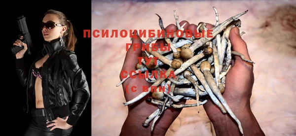 ПСИЛОЦИБИНОВЫЕ ГРИБЫ Переславль-Залесский