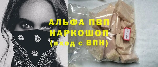 ПСИЛОЦИБИНОВЫЕ ГРИБЫ Переславль-Залесский