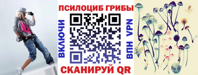 kraken зеркало  Сортавала  Галлюциногенные грибы Psilocybine cubensis 